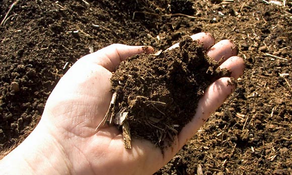 Емкость катионного обмена и плодородие почвы